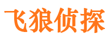 安阳调查事务所